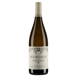 Michel Bouzereau et fils Bourgogne Chardonnay 2021