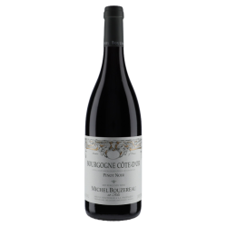 Michel Bouzereau Bourgogne Pinot Noir 2017