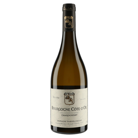 Domaine Fabien Coche Bourgogne Côte d'Or Chardonnay 2022