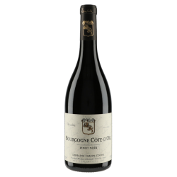 Domaine Fabien Coche Bourgogne Côte d'Or Pinot Noir 2022