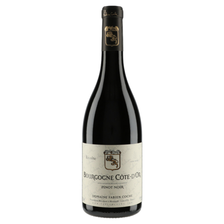 Domaine Fabien Coche Bourgogne Côte d'Or Pinot Noir 2022