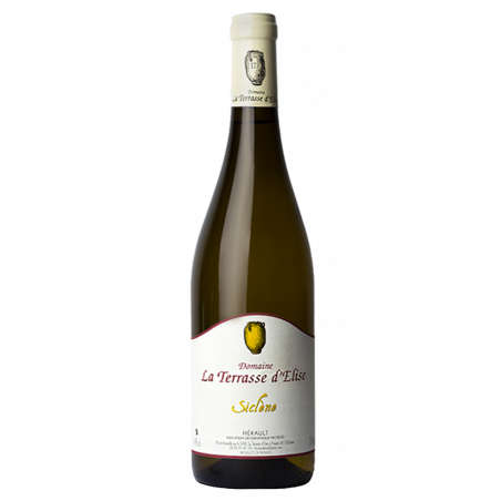 Domaine La Terrasse d'Élise "Siclène" Blanc 2023