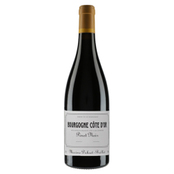 Domaine Maxime Dubuet-Boillot Bourgogne Côte d'Or Pinot Noir 2022