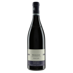 Anne Gros Bourgogne Pinot Noir 2022