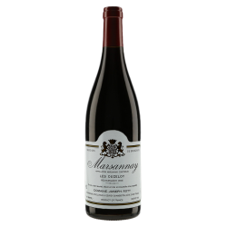 Domaine Joseph Roty Marsannay Les Ouzeloy 2021