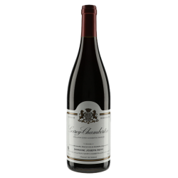 Domaine Joseph Roty Gevrey-Chambertin 2021
