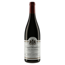Joseph Roty Gevrey-Chambertin 1er Cru Les Fontenys 2021