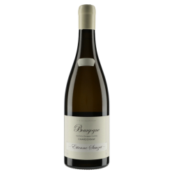 Etienne Sauzet Bourgogne Blanc 2022