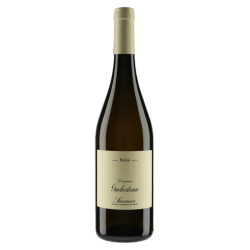 Domaine Guiberteau Saumur Blanc "Brézé" 2013