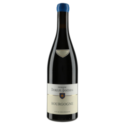 Domaine Dureuil-Janthial Bourgogne Rouge 2022
