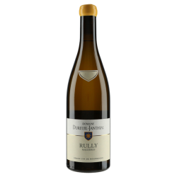 Dureuil-Janthial Rully Blanc Maizières 2022