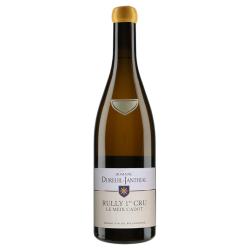 Dureuil-Janthial Rully Blanc 1er Cru Le Meix Cadot 2022