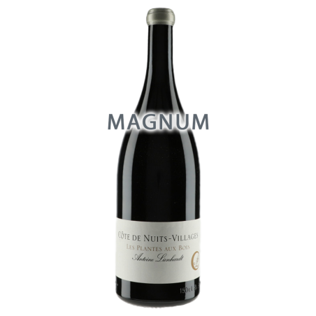 Domaine Antoine Lienhardt Côte de Nuits Villages "Les Plantes Aux Bois" 2016 MAGNUM
