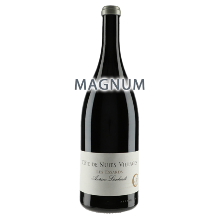 Domaine Antoine Lienhardt Côte de Nuits Villages "Les Essards" 2016 MAGNUM