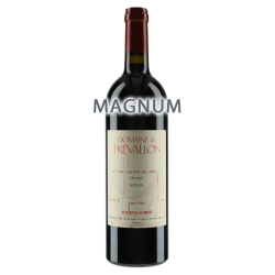 Domaine de Trévallon Rouge 2006 MAGNUM
