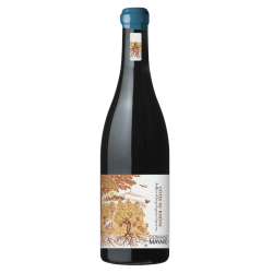 Domaine Mayard Côtes-du-Rhône 2024