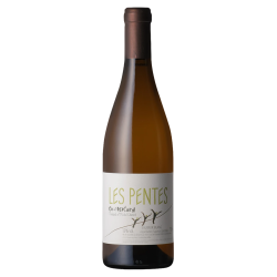 Domaine Thibaud & Michel Chevré Saumur Blanc "Les Pentes" 2022