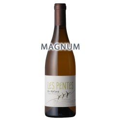 Thibaud & Michel Chevré Saumur Blanc Les Pentes 2022 MAGNUM