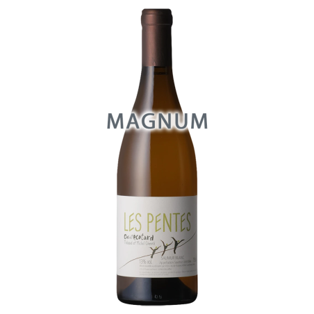 Thibaud & Michel Chevré Saumur Blanc Les Pentes 2022 MAGNUM