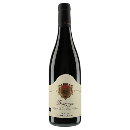 Domaine Hubert Lignier Bourgogne Plan Gilbert 2023