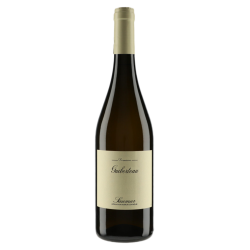 Domaine Romain Guiberteau Saumur Blanc 2023