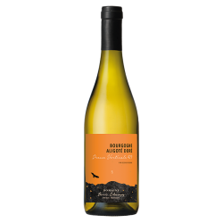 Domaine Boris Champy Bourgogne "Aligoté Presse Verticale 429" 2023