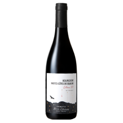 Domaine Boris Champy Hautes-Côtes-de-Beaune Rouge "Le Clou 377" 2023