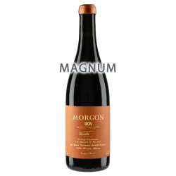 Yann Bertrand Morgon "Iron" 2024 MAGNUM