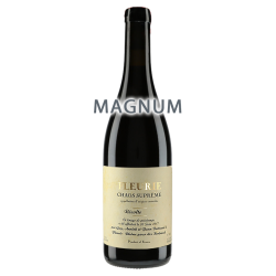 Yann Bertrand Fleurie "Chaos" 2023 MAGNUM
