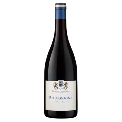 Domaine Thibault Liger-Belair Bourgogne Gamay "Les 2 Terres" 2022