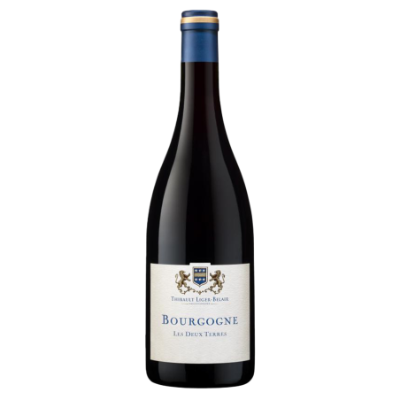 Domaine Thibault Liger-Belair Bourgogne Gamay "Les 2 Terres" 2022