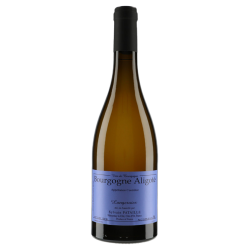 Sylvain Pataille Bourgogne Aligoté Longeroies 2023