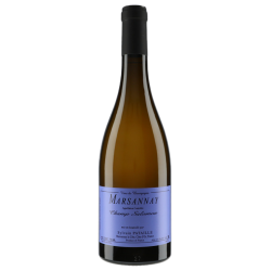 Domaine Sylvain Pataille Marsannay Blanc "Champ Salomon" 2023