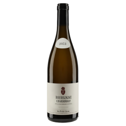 Les Petits Lieux Bourgogne Chardonnay 2023