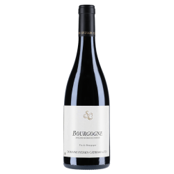 Sylvain Cathiard & Fils Bourgogne Pinot Noir 2023