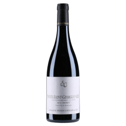 Sylvain Cathiard Nuits-Saint-Georges 1er Cru Aux Thorey 2023