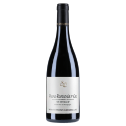 Sylvain Cathiard & Fils Vosne-Romanée 1er Cru En Orveaux 2023