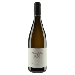 Antoine Lienhardt Bourgogne Aligoté 2023