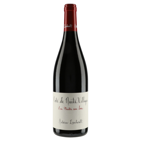 Antoine Lienhardt Les Plantes Aux Bois 2023