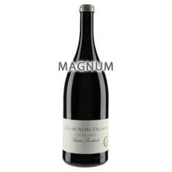 Domaine Antoine Lienhardt Côte de Nuits Villages "Les Essards" 2020 MAGNUM