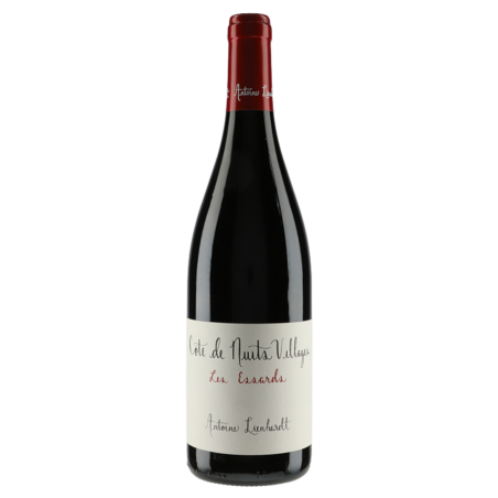 Antoine Lienhardt Les Essards 2020