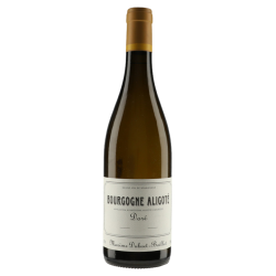 Domaine Maxime Dubuet-Boillot Bourgogne Aligoté Doré 2023