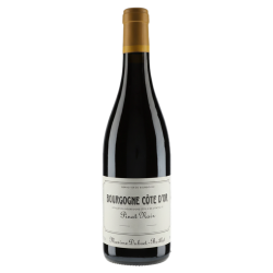 Domaine Maxime Dubuet-Boillot Bourgogne Côte d'Or Pinot Noir 2022