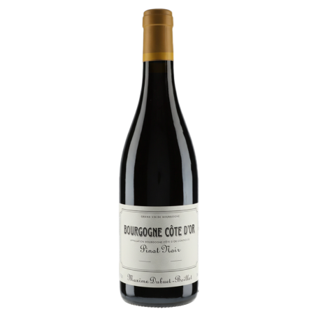 Domaine Maxime Dubuet-Boillot Bourgogne Côte d'Or Pinot Noir 2022