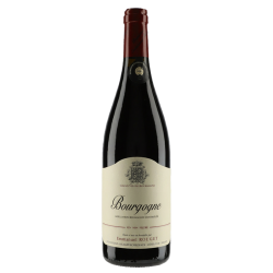 Domaine Emmanuel Rouget Bourgogne Pinot Noir 2021