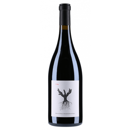 Dominio de Pingus "Psi" 2023