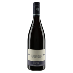 Anne Gros Chambolle-Musigny La Combe d'Orveau 2024