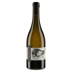 Thomas Pico - Domaine Pattes Loup Chablis 1er Cru Beauregard 2022