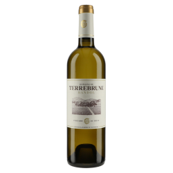 Domaine de Terrebrune Bandol Blanc 2022