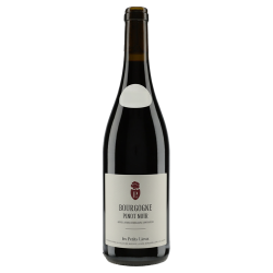 Les Petits Lieux Bourgogne Pinot Noir 2024